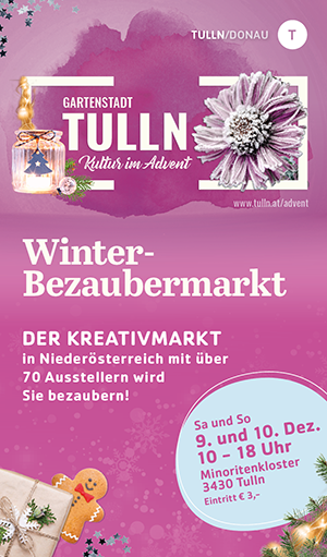 Winter-Bezaubermarkt small