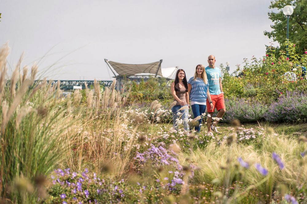 Familie geht neben der Donaubühne Tulln spazieren