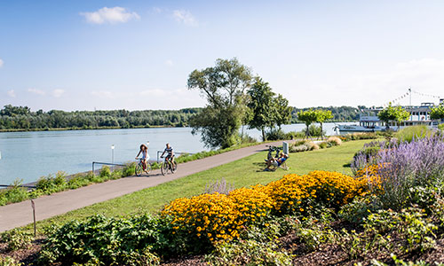 zwei Radfahrer an der Donaulände Tulln 