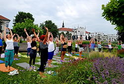 Menschengruppe macht gemeinsam Yoga in Tulln