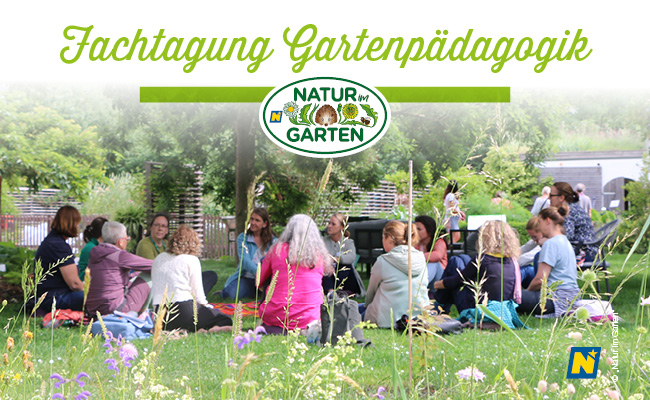 [Eventbild]