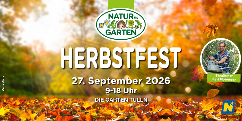 [Eventbild]