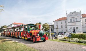 Stadtgemeinde Tulln, Robert Herbst