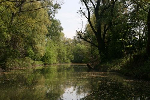 Stadtgemeinde Tulln, ökologische Lebensweise