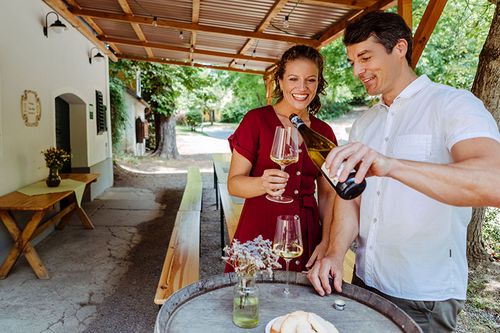 Ausflugsziele in Niederösterreich für Weinliebhaber - Region Wagram