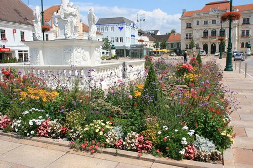 Blühende Innenstadt Tulln