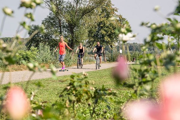 Radfahrer an der Tullner Donaulände