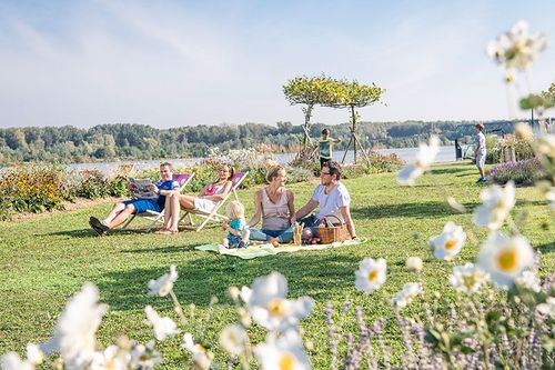 Familien auf der Picknickwiese an der Tullner Donaulände