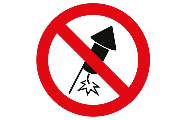 Appell an Bürgerinnen und Bürger: Silvester ohne Knaller und Raketen