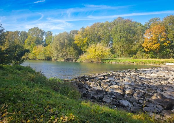 Donaulände blühend im Sommer