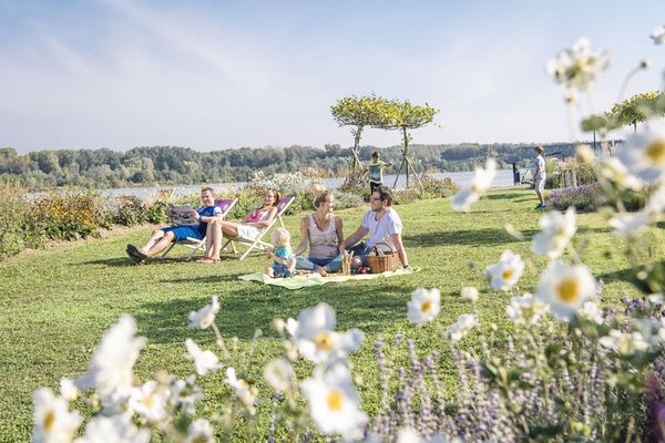 Blick auf die Picknickwiese Tulln