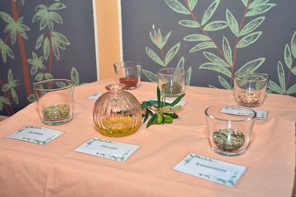 Bestandteile zur Erzeugung eines Parfums