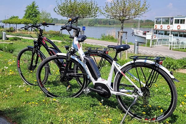 E-Bikes