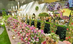 Ausstellung bei der Gartenbaumesse in Tulln
