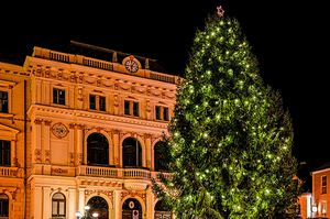Beleuchteter Christbaum vor der Bezirkshauptmannschaft Tulln