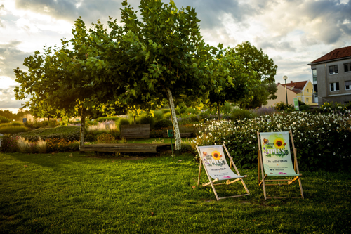 Donaulände wie sie blüht 