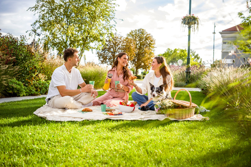 Freunde essen auf Picknickwiese