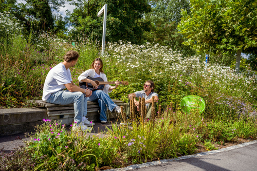 Freunde sitzen auf Donaulände und spielen Gitarre